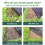 20 Divisions Strong Grass Block Landscape Cloth Air Pervious 7