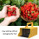Efficient Berries Picking Tool Ergonomic Handle Lightweight 2