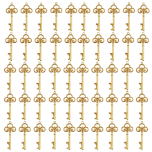 Deschizătoare de sticle cu cheie schelet vintage DIY, etichete de carduri, finisaj bronz antic pentru cadouri practice personalizate, cu design de