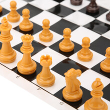 2-teiliges Holz-Schachset für Kinder & Erwachsene Tragbares klassisches Schachspiel