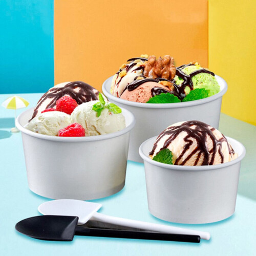 1 set van 25 draagbare witte dessert- en soepkommen 2