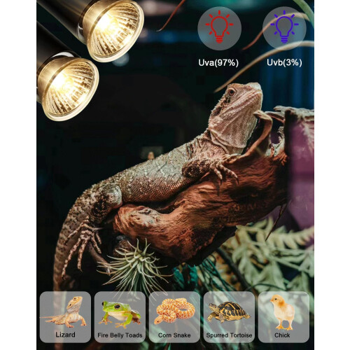 κομμάτια - Λάμπα θέρμανσης ερπετού terrarium, λάμπα ερπετού 50W 2
