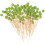 100 skewers/appetizer sticks with leaf-shaped attachment 4