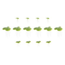 144 Mini-Schwimm-Aquarium mit falscher Wasserlinse