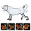 tiger-shaped wine bottle 1 transparent creative 2