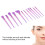 12er Beauty Pinsel Set, weich, dicht 3