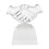 Transparante kristallen trofee, prijstrofee, accessoire 3