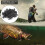 Versatile 120Pcs Black Spinner Snaps for Efficient Fishing Tackle Swap 4