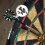Worgeous 15 pcs Protectors for Professional Dartboards 4