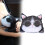 Taschentuchbox, 3D-Katze/Hund-Form, Auto-Cartoon, 10