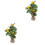 2 ramas de limón artificiales para decoración floral y 5