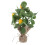 2 ramas de limón artificiales para decoración floral y 2