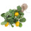 2 ramas de limón artificiales para decoración floral y 3