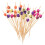 200 brochettes à cocktail jetables pour apéritifs 1