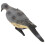 Interesting pigeon model, artificial realistic pigeon 4