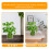 5St Creatieve Plastic Hydrocultuur Voor Bloemschikken 11