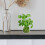 5St Creatieve Plastic Hydrocultuur Voor Bloemschikken 8