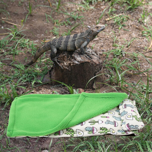 Waschbarer Haustier-Schlafsack 2