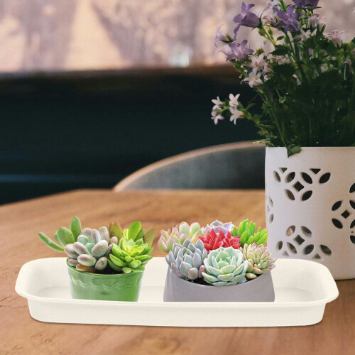 -pack plast blomkrukor, mångsidig användning 2