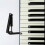 Piano Buffer Lowering Control Key Cover Keyboard Black 3