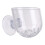 Gamelle pour reptiles, accessoires pour geckos 1