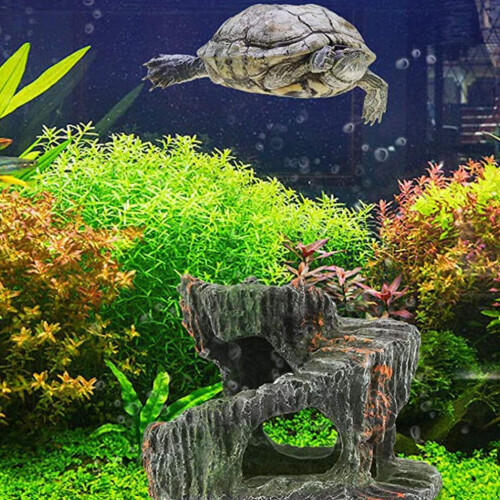 Badeplattform für Bartagamen, Schildkrötenterrasse für Aquarien 1