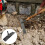 Shovel head for manure and dung, scraper, cleaning tool 4