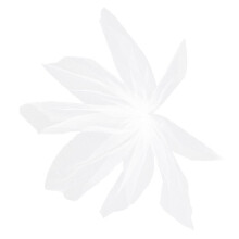 Schleierhaarspange mit Schleife für die Hochzeit