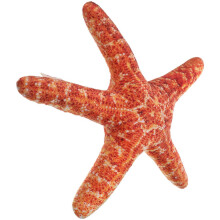 Cojín de peluche de estrella de mar, cojín decorativo con temática de playa,