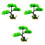 3 arbres de simulation pour l'aquarium 3