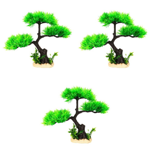 3 arbres de simulation pour l'aquarium 2