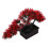 2. Kunstbonsai, vals, Zen-for, 2