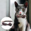 3-delige verstelbare kattenhalsbandset 5