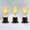 3 Unidades Troféu Plástico Para Competições 9