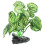 Aquariumaccessoires en verlichtingsset 2