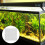 Tapis de mousse pour aquarium 5