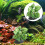 Aquariumaccessoires en verlichtingsset 5