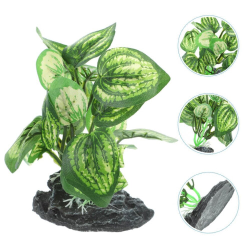 Aquariumaccessoires en verlichtingsset 2