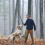 Bâton extensible pour chien, bâton de jeu, jouet interactif 5