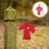 Iron chicken-head shaped target for outdoor shooting practice 4