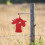 Iron chicken-head shaped target for outdoor shooting practice 5