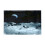 Aquarium-Hintergrundpapier 3D-Tapete mit 2