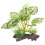 Kunstmatige aquariumplanten - plastic multi-set (1 set) 4
