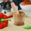 Garlic Tool - Wooden Pestle for Kitchen Utensils 5