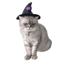 Halloween kattkostymtillbehör häxhatt 1