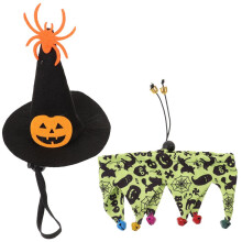 Halloween-kattdräkt med häxhatt och halsband för små och stora katter