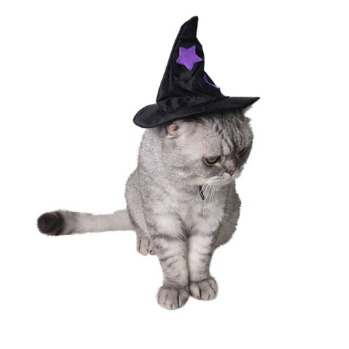Halloween kattkostymtillbehör häxhatt 1 1