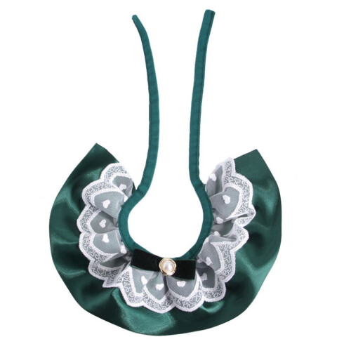 Disfraz de mascota con collar y lazo 1