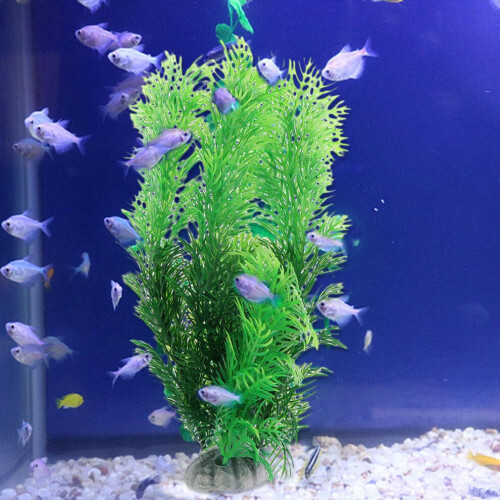 5 Akvariumdesign Simulerat Vattengräs 2