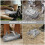 1 Set Cat Feeding Spoon Iron Moisture-Resistant For 4
